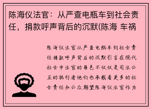 陈海仪法官：从严查电瓶车到社会责任，捐款呼声背后的沉默(陈海 车祸)